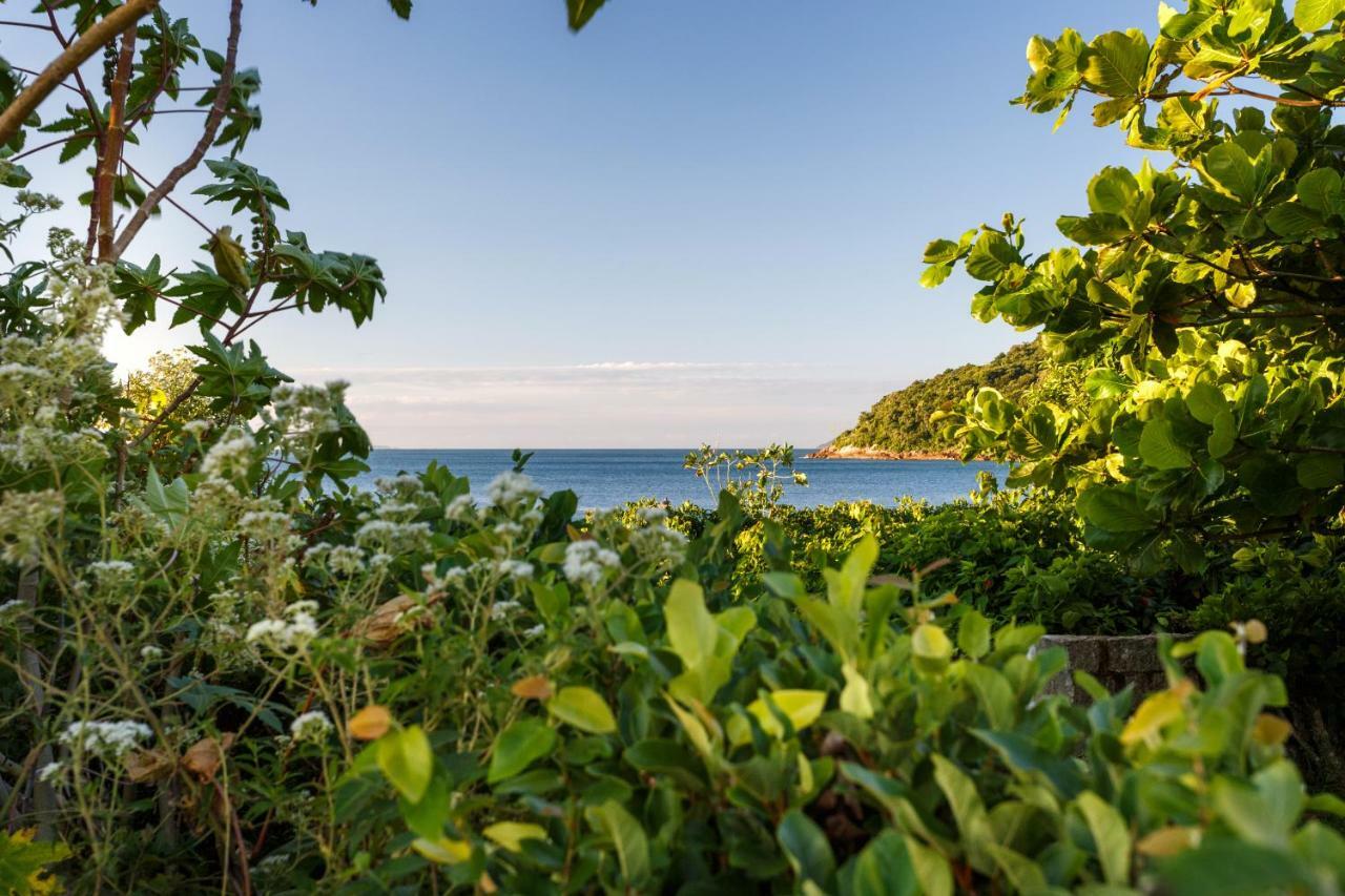 Apartamento Com 4 Suites Pe Na Areia Florianópolis Eksteriør billede